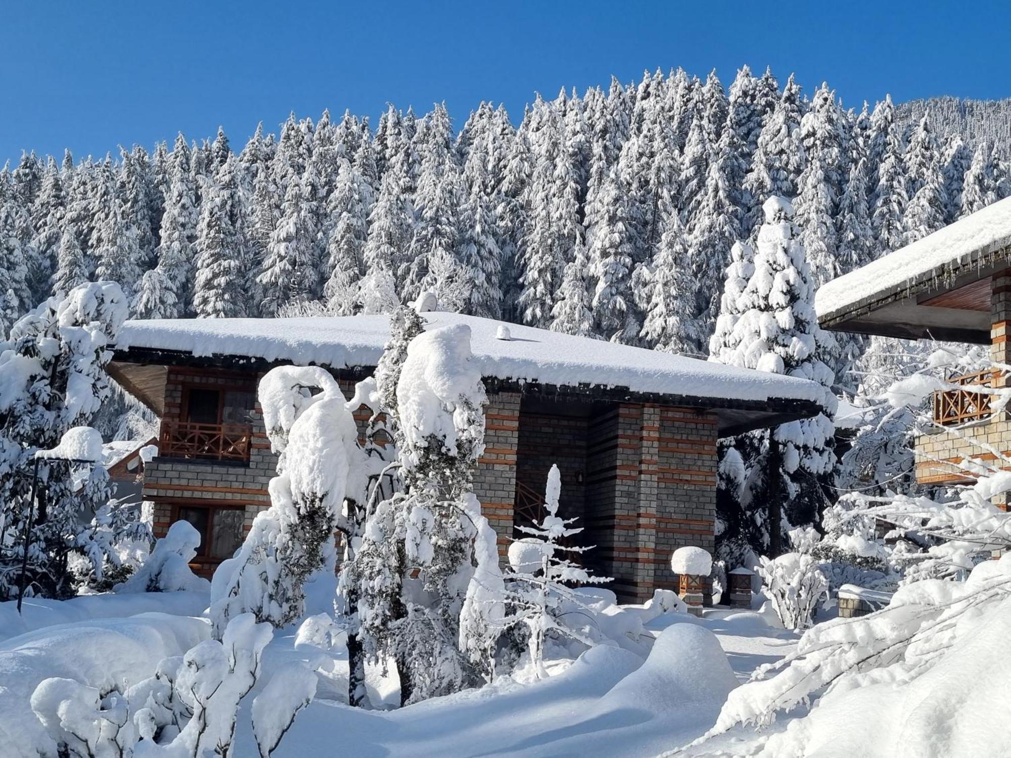 Banon Resorts Manali  Exterior photo
