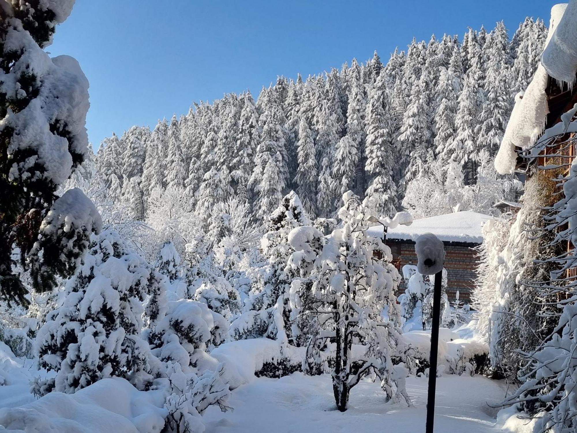 Banon Resorts Manali  Exterior photo