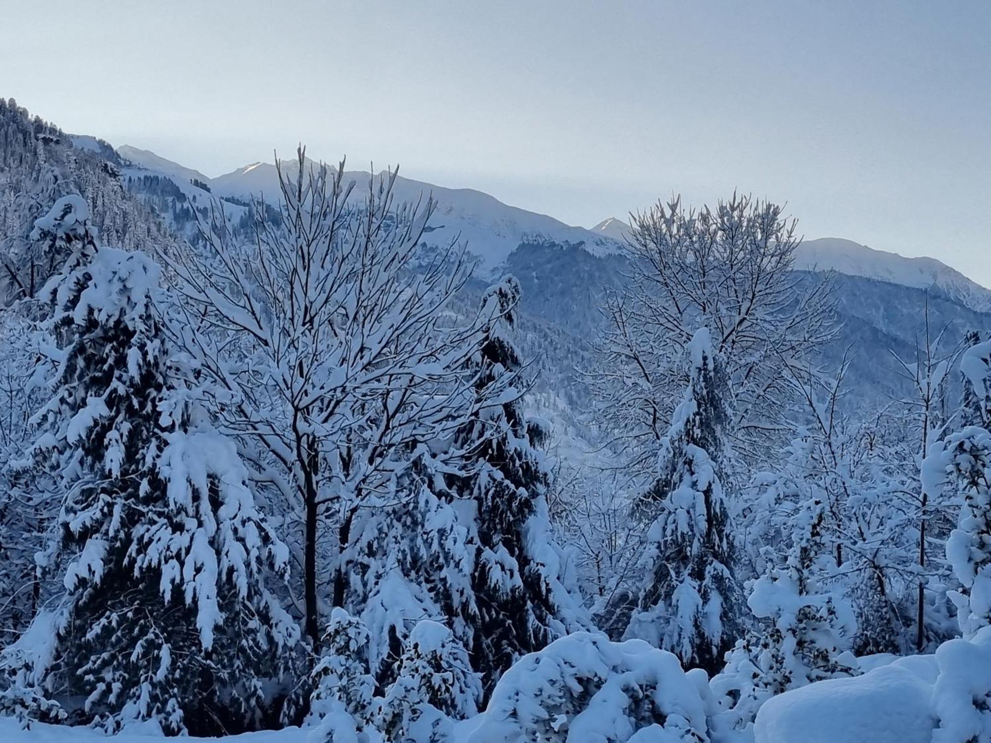 Banon Resorts Manali  Exterior photo